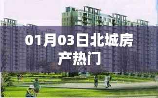 北城房产热门资讯,01月03日最新动态