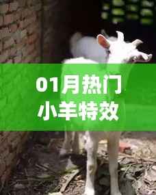 热门小羊特效,引领潮流新风尚!
