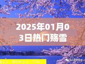 最新热门，殇雪事件回顾与影响分析