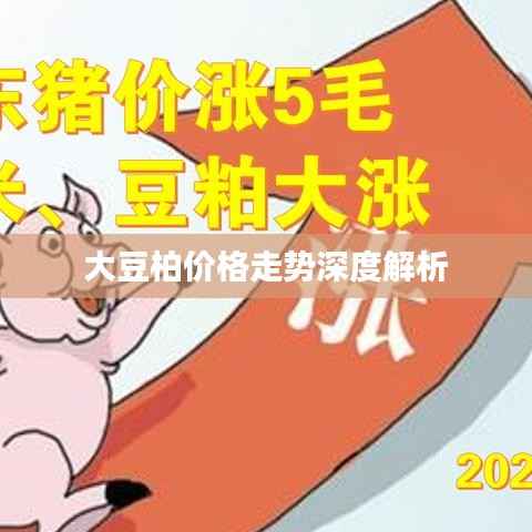 大豆柏价格走势深度解析