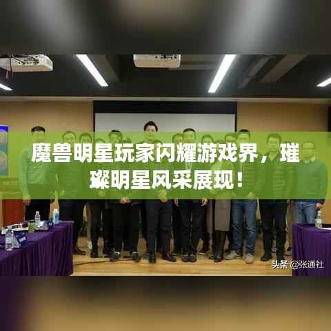 魔兽明星玩家闪耀游戏界,璀璨明星风采展现!