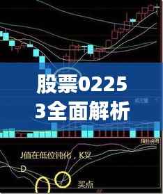 股票02253全面解析,深度探究其投资价值和潜在风险