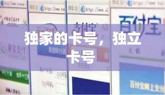 独家的卡号,独立卡号