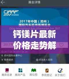 钙镁片最新价格走势解析,全面了解市场动态!