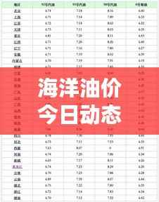 海洋油价今日动态，最新消息一网打尽！