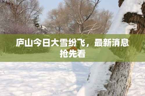 庐山今日大雪纷飞,最新消息抢先看