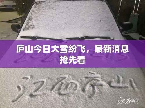 庐山今日大雪纷飞,最新消息抢先看