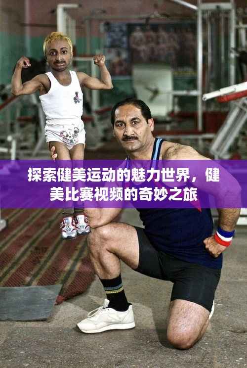 探索健美运动的魅力世界,健美比赛视频的奇妙之旅