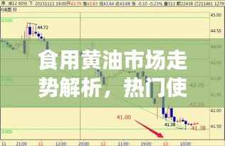 公司概况 第174页