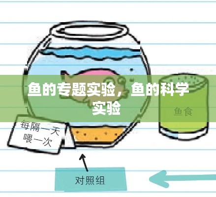 鱼的专题实验，鱼的科学实验 