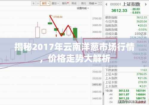 揭秘2017年云南洋葱市场行情,价格走势大解析