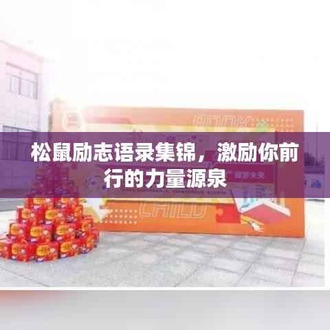 松鼠励志语录集锦,激励你前行的力量源泉