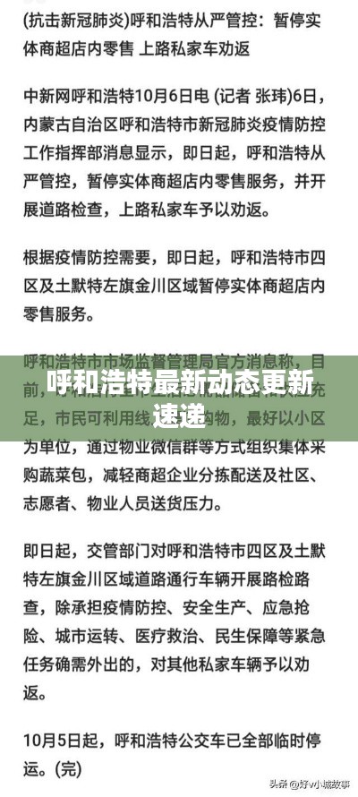 呼和浩特最新动态更新速递