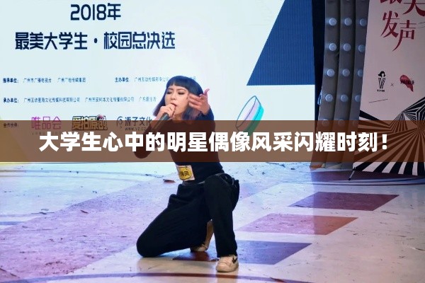 公司概况 第153页