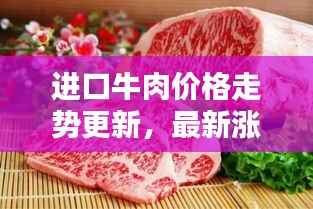 进口牛肉价格走势更新,最新涨价动态揭秘