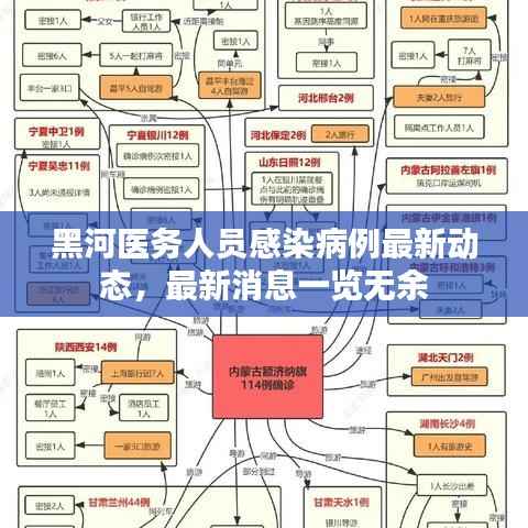 黑河医务人员感染病例最新动态,最新消息一览无余