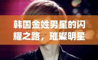 韩国金姓男星的闪耀之路，璀璨明星的光辉历程