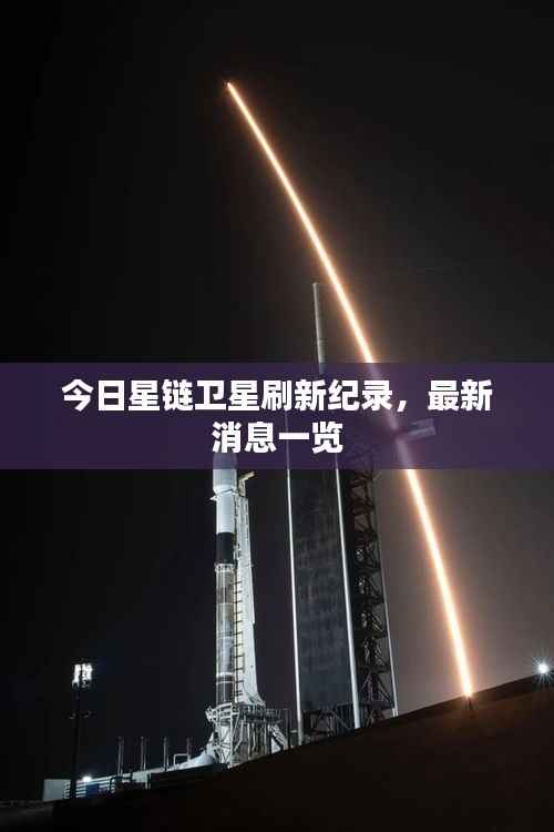 栖冲业简 第2页