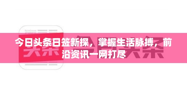 成功案例 第138页