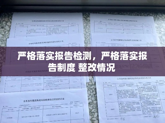 严格落实报告检测,严格落实报告制度 整改情况