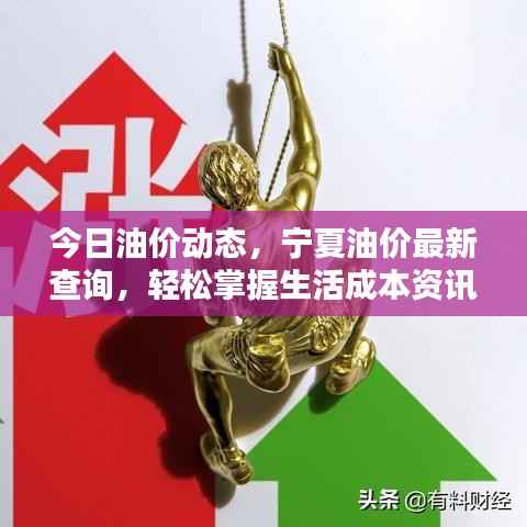 今日油价动态,宁夏油价最新查询,轻松掌握生活成本资讯!