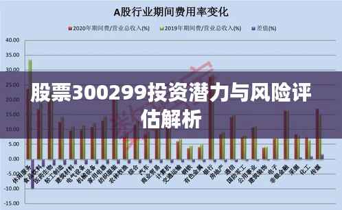 股票300299投资潜力与风险评估解析