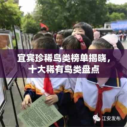 宜宾珍稀鸟类榜单揭晓,十大稀有鸟类盘点