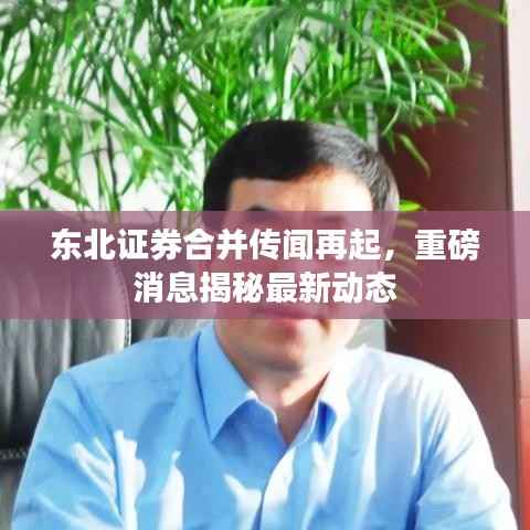 东北证券合并传闻再起,重磅消息揭秘最新动态