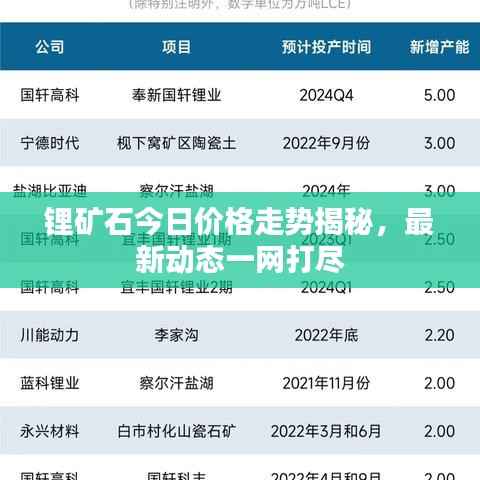 锂矿石今日价格走势揭秘，最新动态一网打尽