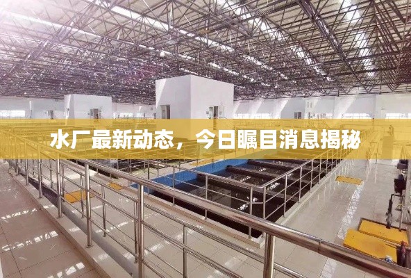 水厂最新动态,今日瞩目消息揭秘