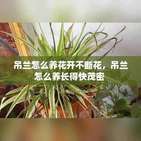 高人雅士 第2页