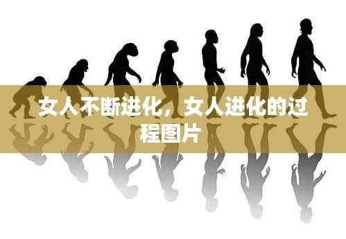 成功案例 第108页