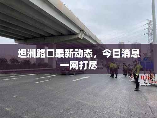 坦洲路口最新动态,今日消息一网打尽