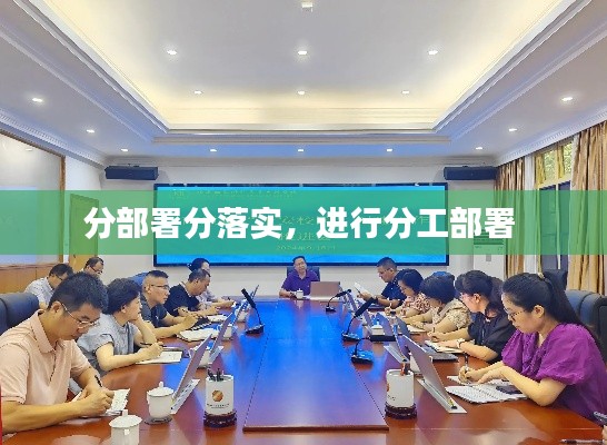 分部署分落实，进行分工部署 