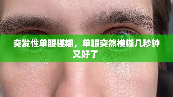 突发性单眼模糊,单眼突然模糊几秒钟又好了