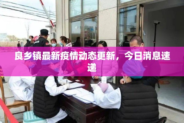 良乡镇最新疫情动态更新，今日消息速递