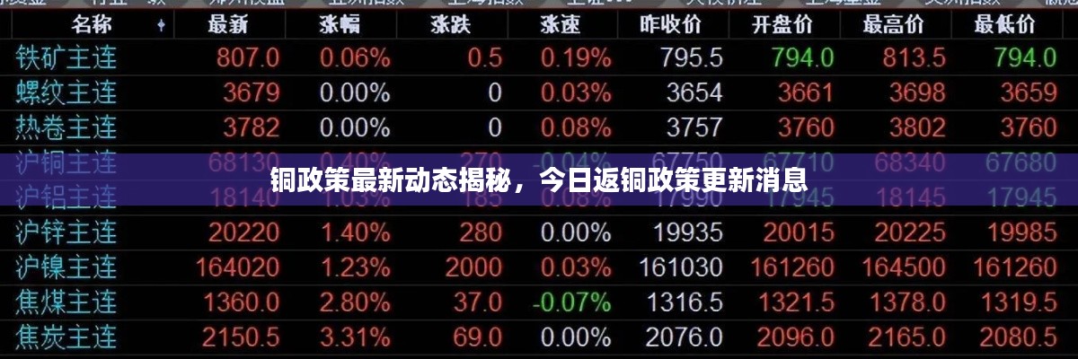 公司概况 第98页