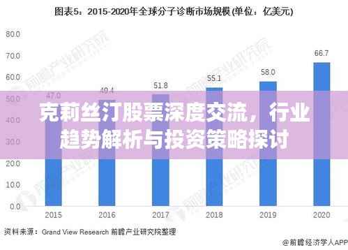克莉丝汀股票深度交流,行业趋势解析与投资策略探讨