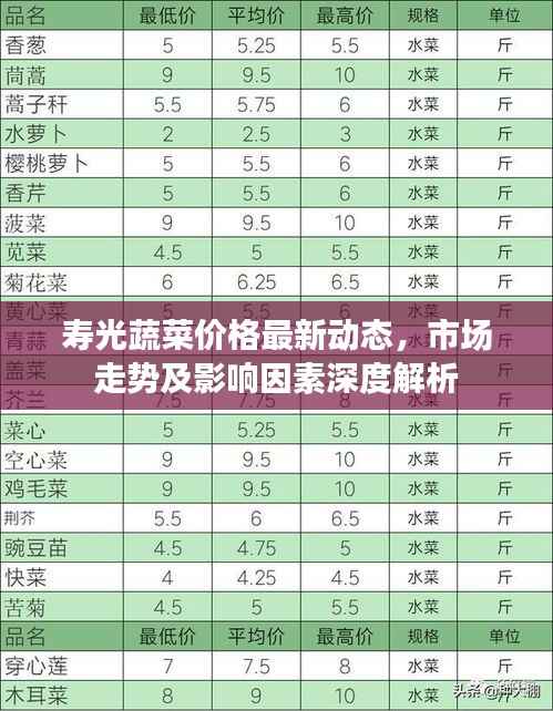 寿光蔬菜价格最新动态,市场走势及影响因素深度解析