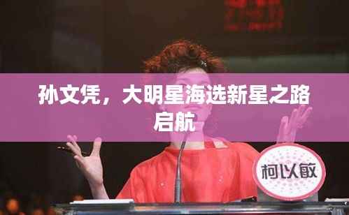 孙文凭,大明星海选新星之路启航