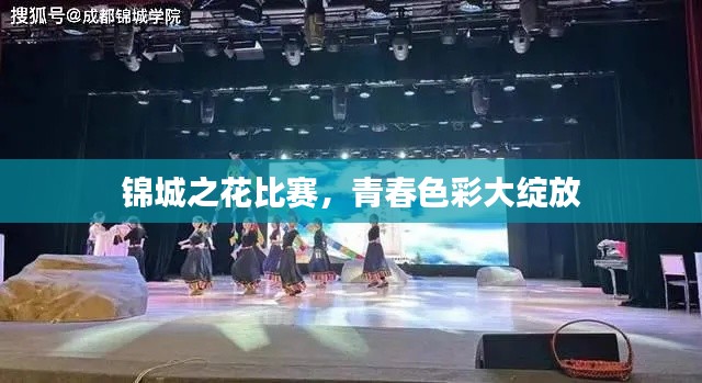 锦城之花比赛，青春色彩大绽放