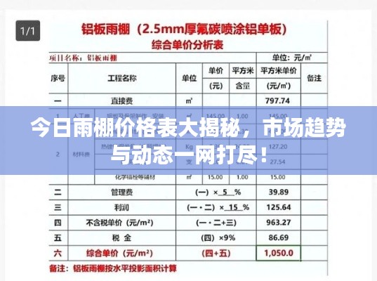 今日雨棚价格表大揭秘，市场趋势与动态一网打尽！