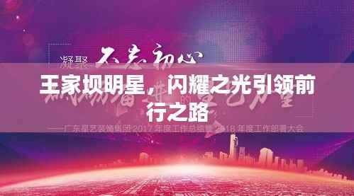 王家坝明星,闪耀之光引领前行之路