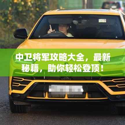 中卫将军攻略大全，最新秘籍，助你轻松登顶！