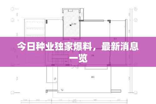今日种业独家爆料，最新消息一览