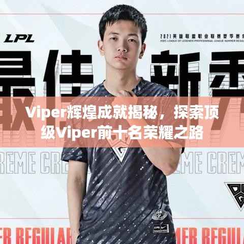 Viper辉煌成就揭秘，探索顶级Viper前十名荣耀之路