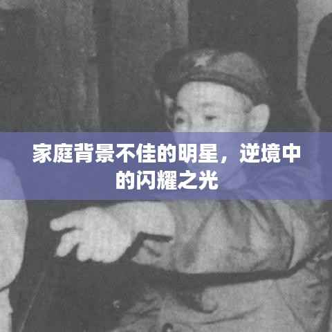 家庭背景不佳的明星,逆境中的闪耀之光