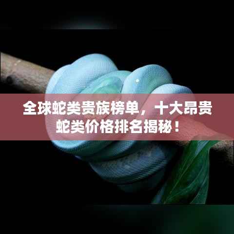 全球蛇类贵族榜单，十大昂贵蛇类价格排名揭秘！