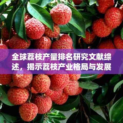 全球荔枝产量排名研究文献综述，揭示荔枝产业格局与发展趋势
